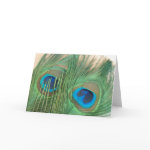 Two golden peacock feather blank card