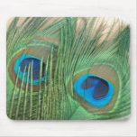 Two Golden Peacock Feathers Mousepad