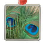 Two Golden Peacock Feather Christmas Ornament