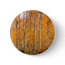 Two Grazing Horses In the Autumn Pin
