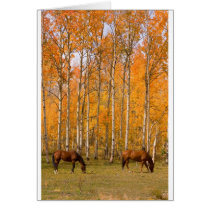 Two Grazing Horses In the Autumn Card