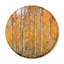 Two Grazing Horses In the Autumn Refrigerator Magnets