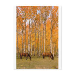 Two Grazing Horses In the Autumn Post Card