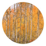 Two Grazing Horses In the Autumn Sticker