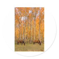 Two Grazing Horses In the Autumn Sticker
