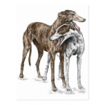 Two Greyhound Dog Friends Post Card