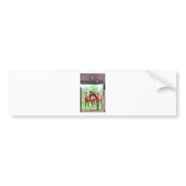 Two horse friends bumper stickers