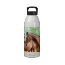 Two horse friends water bottles