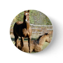 Two Horses at Pasture buttons by HorseLoversGifts Two Horses at Pasture buttons