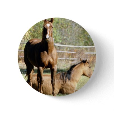 Two Horses at Pasture Button