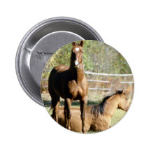 Two Horses at Pasture Pin