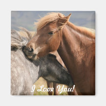 Two horses I love You Magnet