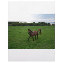 Two Horses Letterhead Design