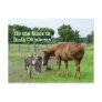 Two Horses, On the fence in Inola Oklahoma Post Cards