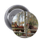 Two Horses! Pinback Button