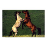 Two Horses