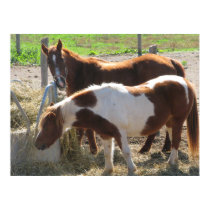 Two Horses posters