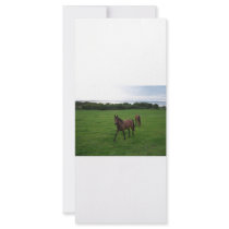Two Horses Custom Rack Card