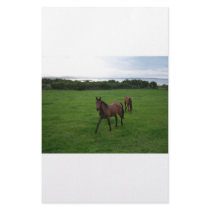 Two Horses stationery