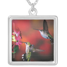 Two Hummingbirds Silver Pendant