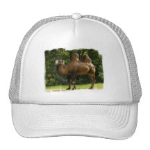 Two Humped Camel Baseball Hat