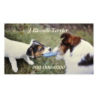 Two Jack Russell terriers Double-Sided Standard Business Cards (Pack Of 100)