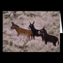 "Two Jackasses And A Jenny" Horizontal Card cards