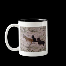 "Two Jackasses And A Jenny" Two Tone Mug