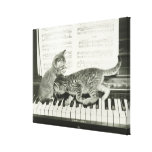 Two kitten playing on piano keyboard, (B&W) Canvas Print