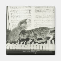 Two kitten playing on piano keyboard, (B&W) Fridge Magnets