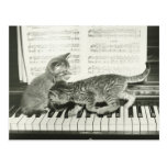 Two kitten playing on piano keyboard, (B&W) Postcards