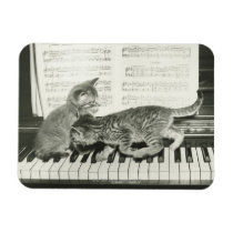 Two kitten playing on piano keyboard, (B&W) Flexible Magnets