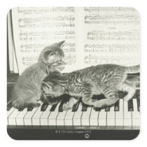 Two kitten playing on piano keyboard, (B&W) Stickers