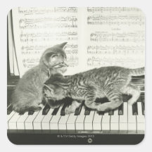 Two kitten playing on piano keyboard, (B&W) Stickers