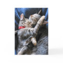 Two Kitties cards