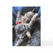 Two Kitties cards by karenand Two Kitties cards