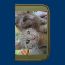 Two Kitties rickshaw folios