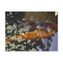 Two Koi in Pond Post Cards