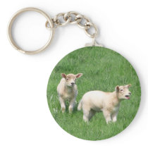 Two Lambs Key Chains
