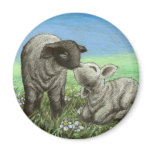 Two lambs kissing magnets