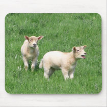 Two Lambs mousepad