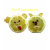 lillyarts, funny, lemon t shirt, lemon, faces,