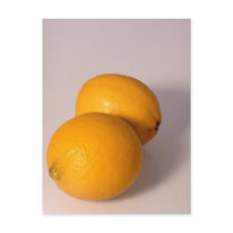 Two Lemons Post Card