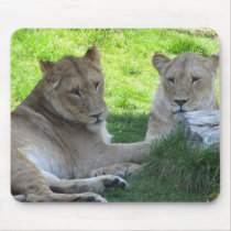 Two lions mousepad mousepads