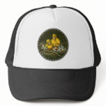 Two little ducklings hats