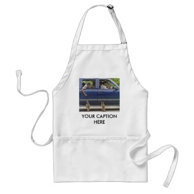 TWO LITTLE RACCONS APRON by ALMOUNT