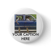 TWO LITTLE RACCONS buttons