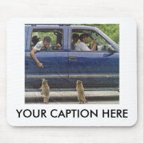 TWO LITTLE RACCONS mousepads