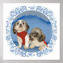 Two Little Shih Tzu Rescue Doggies Poster