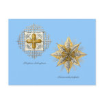 Two marine radiolarians post card